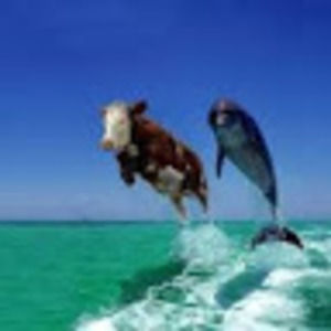 Meet your Posher, Misty